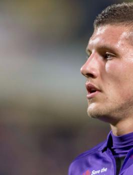 أنتي ريبيتش