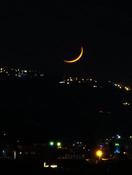 مفتي فلسطين 