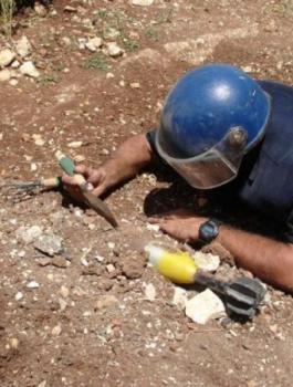 thumb-jpg-7212727964144834