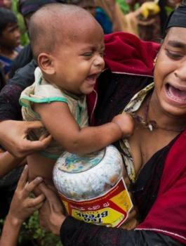 مسلمي الروهينغا في بنغلادش 