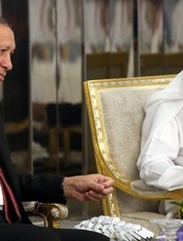 اردوغان والسعودية والامارات 