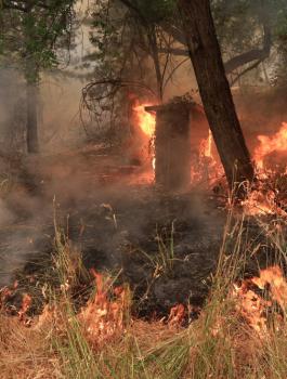 حرائق كاليفورنيا 