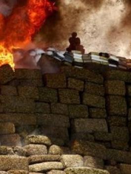 تايلاند وميانمار تحرقان أطنانا من المخدرات بقيمة مليار دولار