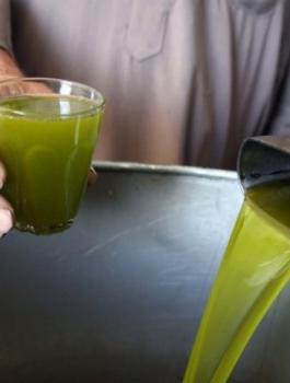 0000000000vbsfcvxszd