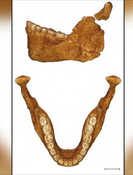 اكتشاف عظام بالمغرب 