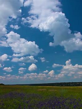 انخفاض على درجات الحرارة 