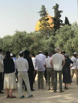 اقتحام المستوطنين للمسجد الأقصى المبارك 