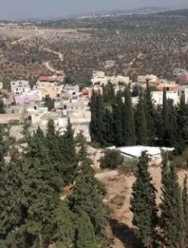 qarawa389473