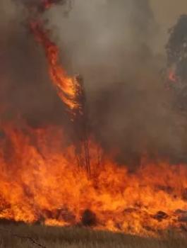 حرائق في مستوطنات غلاف غزة 