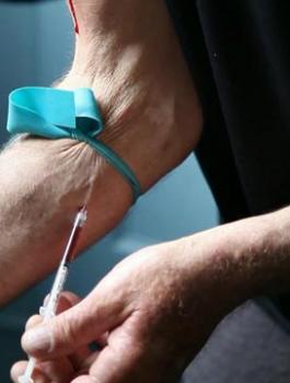 اعداد متعاطي المخدرات في فلسطين 