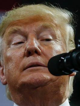 الجنائية الدولية وترامب 