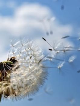 e90ed1ff05c32949ba8a5527fb59b989