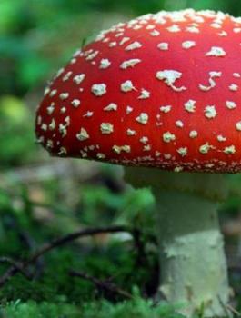 معالجة الاكتئاب 