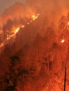 هكذا تتعامل مع الحرائق 