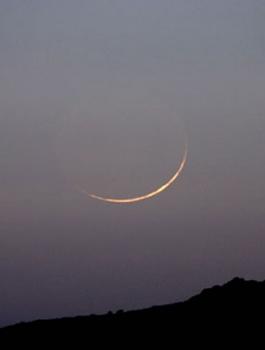 عيد الاضحى المبارك 