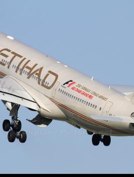 طائرة اماراتية هبطت في تل ابيب 