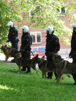 الاستخبارات الأمريكية تقيل كلبة من العمل !