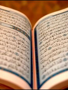 نزيل لدى الشرطة يحفظ القرآن الكريم كاملا في الخليل 