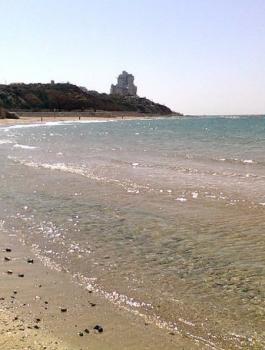 205024_194517563916634_179572878744436_440051_1253906_n