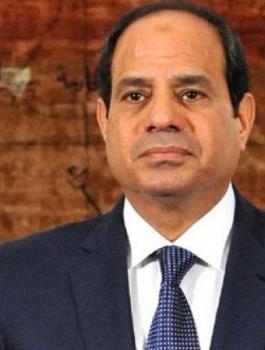 فوز السيسي في الانتخابات الرئاسية المصرية 