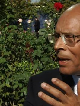 n-MONCEF-MARZOUKI-large570