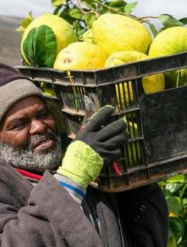 منع الفلسطينيين من تصدير عبر الاردن 