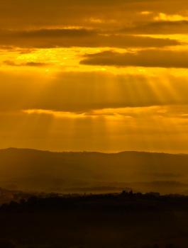 ما سبب أصفرار السماء في فلسطين اليوم ؟