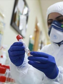 thumbs_b_c_d1e959b71e97a2545e2407c8ac5edb7c