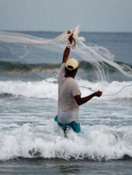 توسيع مساحة الصيد في غزة 