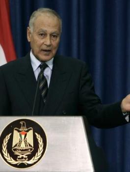 ابو الغيط والملك سلمان 