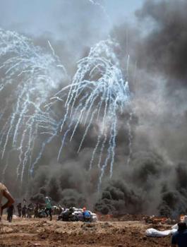 الشهداء الفلسطينيين ومسيرة العودة 