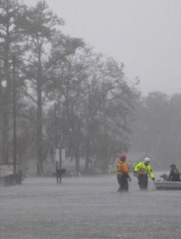 اعصار فلورنس 