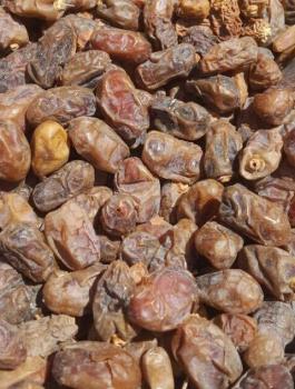 اتلاف تمور فاسدة في رام الله 