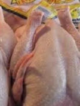 دعوة لمقاطعة الدجاج  لمدة أسبوع بالضفة الغربية