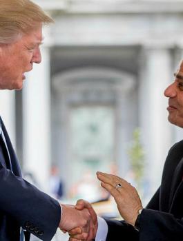 اميركا تدعم مصر 45 مليون دولار 