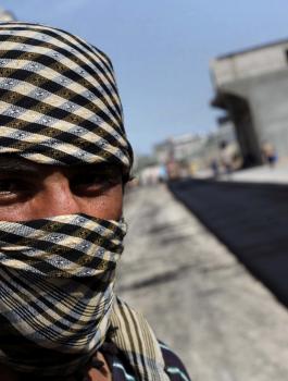 العمال الفلسطينيين في مجال الزراعة 