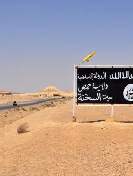 اموال داعش 