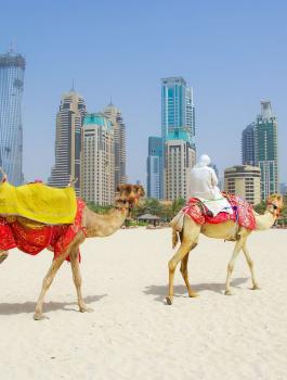 السياحة في دبي 