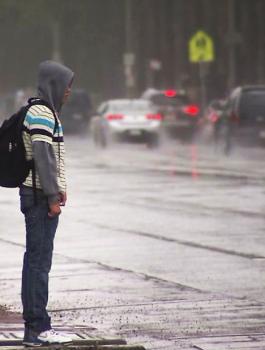 الامطار في فلسطين 