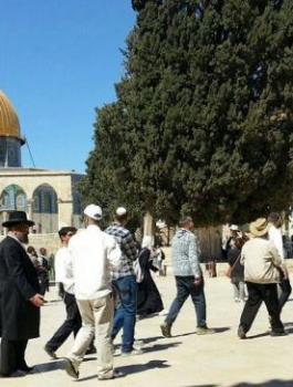 المستوطنون يقتحمون المسجد الأقصى 