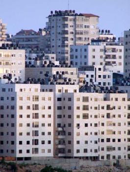 الشقق الفارغة في الضفة الغربية 
