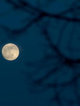 القمر والارض 