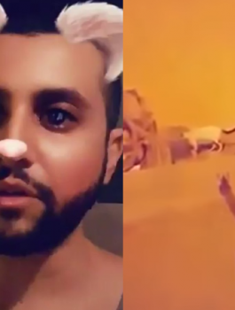 السجن عام واحد وغرامة 20 ألف ريال لسفاح القطط في جدة