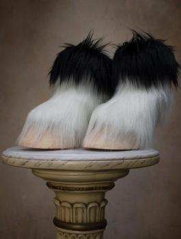 حذاء الماعز 