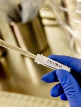 اصابات بفيروس كورونا في فلسطين 