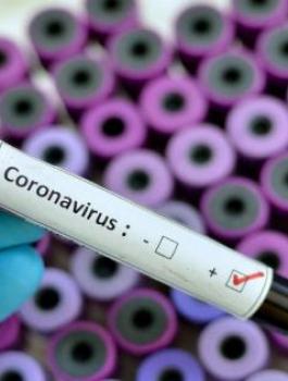 فيروس كورونا والحكومة الفلسطينية 