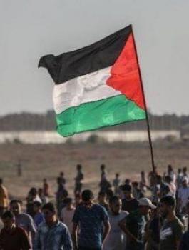 تونس وفلسطين 