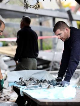 الصاروخ الذي اطلق على تل ابيب 