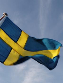 fredrik+broman-flag+of+sweden-287