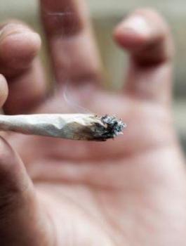 التدخين والدماغ 